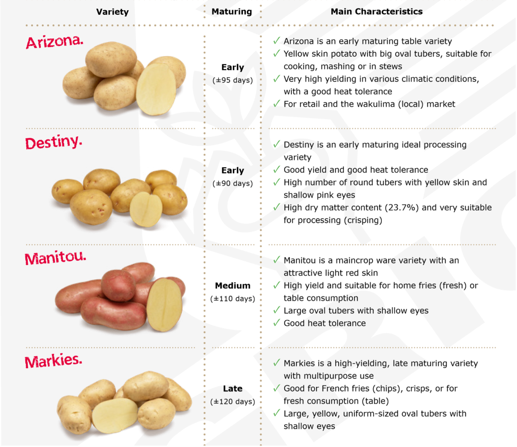 Potato varieties